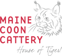Maine Coon Cattery House Of Tiger
